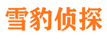 青山湖市侦探